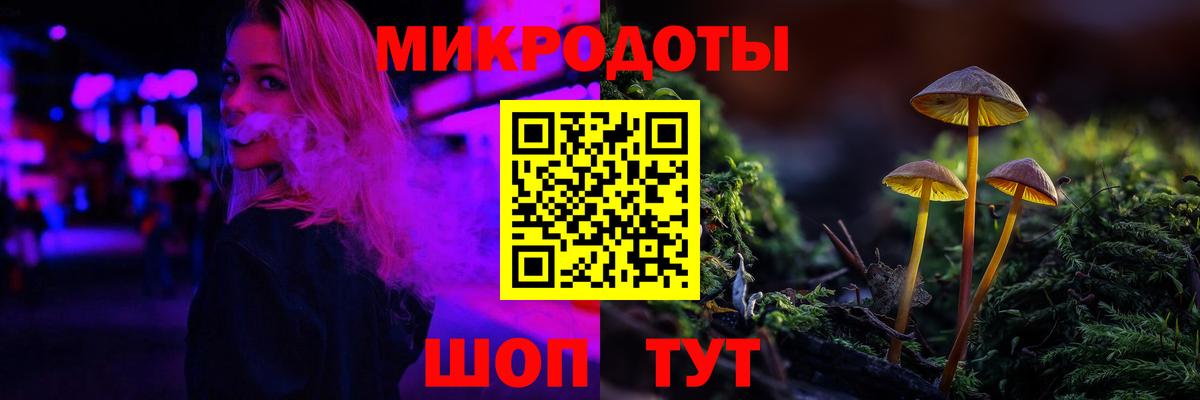 Псилоцибиновые грибы Psilocybe  Вход с VPN  Новозыбков  Псилоцибиновые грибы GOLDEN TEACHER 